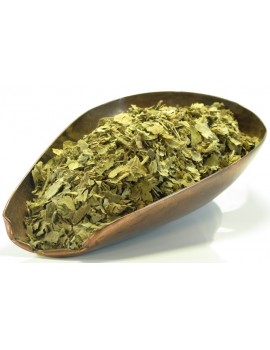 Tisane Alchémille vulgaire plante entière 100gr Herboristerie De Paris Alchemilla vulgaris cycle menstruel Abcbeauté