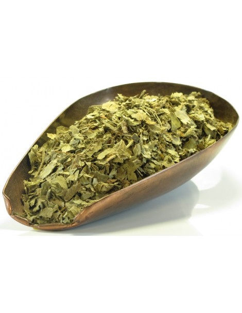Tisane Alchémille vulgaire plante entière 100gr Herboristerie De Paris Alchemilla vulgaris cycle menstruel Abcbeauté