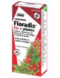Floradix fer et Plantes 84 Comprimés Salus fer acide folique vitamine b12 Abcbeauté maternité