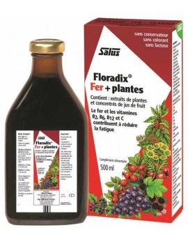 Floradix Fer et Plantes 500 ml Salus gluconate de fer anti fatigue Abcbeauté