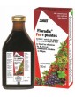Floradix Fer et Plantes 500 ml Salus gluconate de fer anti fatigue Abcbeauté
