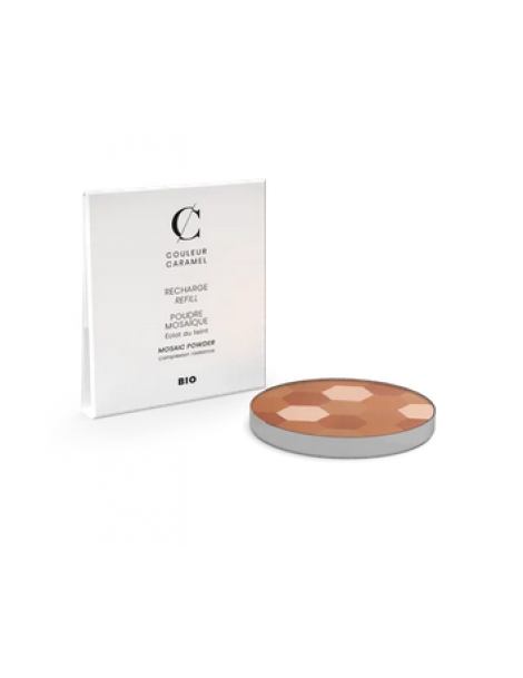 Recharge Poudre mosaique No 233 teint mat Couleur Caramel poudre multi teintes Abcbeauté maquillage