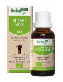 Sureau noir bourgeons 30ml Herbalgem défenses naturelles Abcbeauté