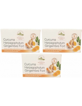 Curcuma harpagophytum gingembre fort modèle cure de 3 x 60 comprimés Herboristerie de Paris articulations abcbeauté