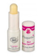 Stick super hydratant rose musquée 4 gr Mosqueta's rose musquée du chili Abcbeauté
