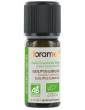 Huile essentielle bio Eucalyptus globulus 10 ml Florame voies respiratoires Abcbeauté