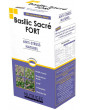Basilic Sacré fort Anti stress naturel 30 comprimés Nutrigee aide psychologique Abcbeauté