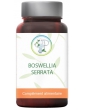 Boswellia serrata résine 90 gélules Planticinal acide boswellique Abcbeauté