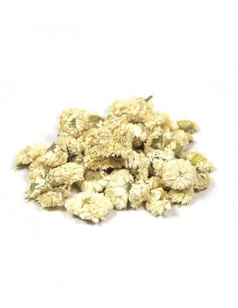 Camomille Romaine capitule floral trié entier 100gr