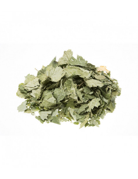 Cassis feuille coupé gros bio 100gr Herboristerie de Paris tisane cassissier ribes nigrum Abcbeauté infusions
