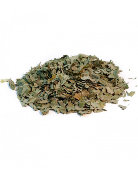 Desmodium feuille coupée 100g Herboristerie de Paris desmodium adscendens Abcbeauté