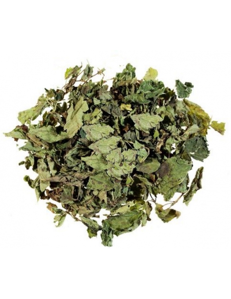 Mélisse Feuille entière BIO 100g Herboristerie de Paris melissa officinalis stress anxiété Abcbeauté