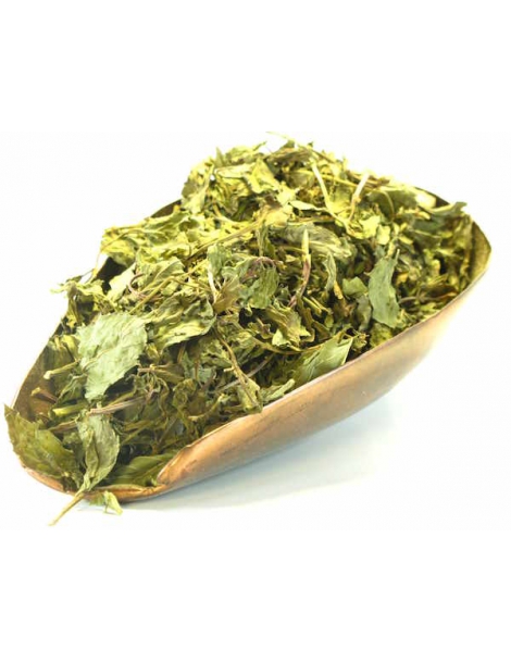 Menthe poivrée bio feuille 100g Herboristerie de Paris mentha piperita infusion Abcbeauté