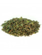 Tisane Ortie Piquante Feuille coupées Bio 100g Herboristerie de Paris tisane infusion urtica dioica Abcbeauté