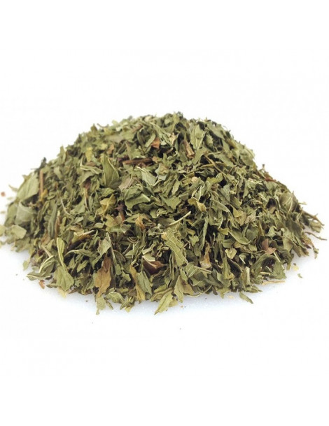 Papayer Feuille 100g Herboristerie de Paris papaïne Abcbeauté plantes médicinales