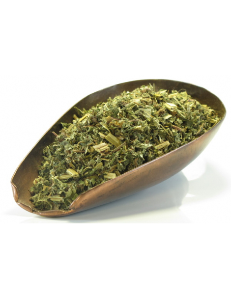Reine des prés sommité fleurie BIO 100g Herboristerie de Paris Filipendula ulmaria Abcbeauté