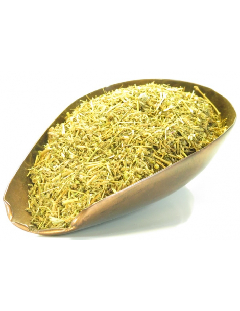 Sabline Rouge Arenaria partie aérienne tisane 100g Herboristerie de Paris élimination urinaire Abcbeauté tisane