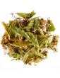 Tilleul des Baronnies BIO tisane 100g Herboristerie de Paris tilia cordata tisane du soir Abcbeauté