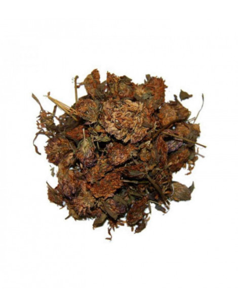 Trèfle rouge fleur 100g Herboristerie de Paris isoflavones ménopause Abcbeauté herboristerie
