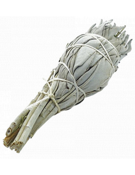 Sauge Blanche à Brûler Torche 15g Herboristerie de Paris sauge en bouquet à brûler Abcbeauté