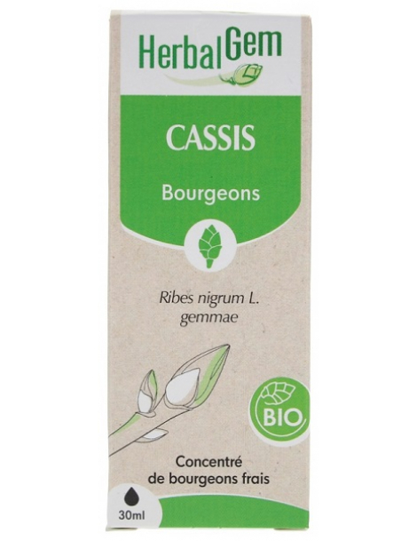 Cassis bio Macérat de bourgeons 30ml Herbalgem articulaire gemmothérapie Abcbeauté