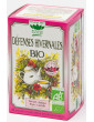 Tisane Défenses hivernales bio 20 sachets 32g Romon nature thym citron cannelle Abcbeauté infusions