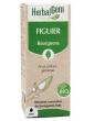 Figuier bio  50ml  Herbalgem stress nervosité troubles du sommeil Abcbeauté gemmothérapie