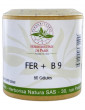 Fer plus B9 60 gélules Herboristerie de Paris vitamine b9 lactate de fer Abcbeauté