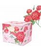 Tisane Be Cube Jour D'amour bio 20 sachets 40g recharge carton Provence d'Antan infusion jour d'amour Abcbeauté tisane