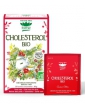 Tisane Complexe Cholesterol bio 20 sachets Romon Nature thé vert thé pu ehr lipolyse Abcbeauté