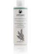 Shampoing Extra Doux aux Plantes 200 ml Odylique shampooing doux silice coco aloe vera Abcbeauté