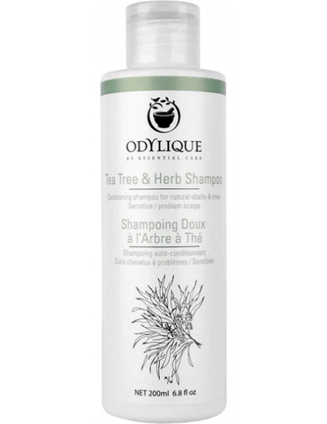 Shampoing Doux à l'Arbre à Thé 200 ml Odylique lavande tea tree Abcbeauté