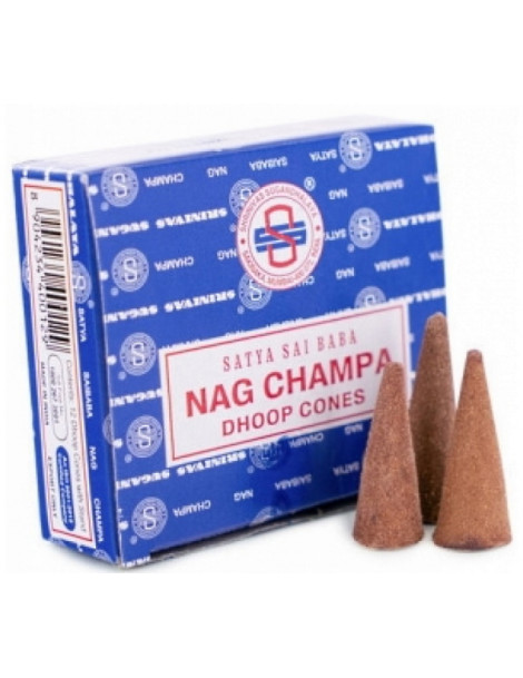 Nag Champa Encens à brûler en cône 10 pièces spirituel religieux hindou santal Abcbeauté