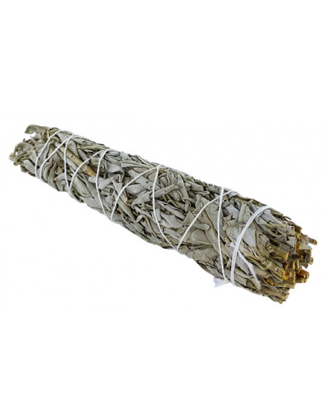 Sauge blanche de Californie à brûler 23 cm XL 70gr Herboristerie de Paris grand format 40 minutes combustion Abcbeauté