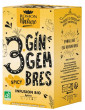 Infusion plaisir 3 Gingembre bio 16 sachets Romon Nature gingembre galanga curcuma Abcbeauté herboristerie
