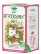 Tisane Refroidissement Bio 20 sachets Romon Nature thym cannelle eucalyptus menthe Abcbeauté herboristerie