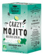 Infusion Crazy Mojito menthe citron bio 16 sachets Romon Nature fou de mojito relaxation sérénité Abcbeauté