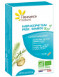 Harpagophytum Prêle Bambou Bio 40 gélules Fleurance Nature confort articulaire abcbeauté