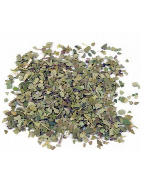 Tisane Maté Vert fine feuille bio 100gr Herboristerie de Paris yerba maté minceur énergie tonus Abcbeauté herboristerie