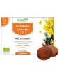 Gommes Chantres Voix enrouée Miel Citron x24 Herbalgem erysimum Abcbeauté