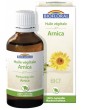 Huile végétale Bio d'Arnica 50 ml Biofloral macération de lfeurs d'arnica bio Abcbeauté