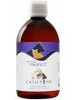 ANIMALYON Protect 500 ml Catalyons zinc cuivre argent Abcbeauté animal de compagnie