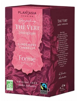 Thé vert Forme Gingembre Cannelle 18 sachets Plantasia thé vert bio ambootia darjeeling Abcbeauté herboristerie