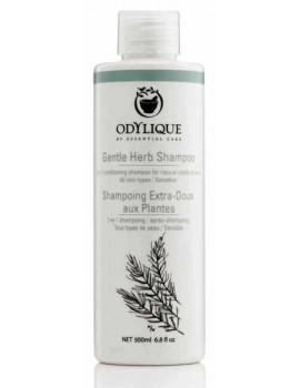 Shampoing Extra Doux aux Plantes bio 500 ml Odylique shampooing extra doux coc aloe vera ortie prele Abcbeauté
