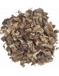 Tisane Grande Bardane Racine Bio 100gr Herboristerie de Paris racine de bardane peau foie Abcbeauté herboristerie